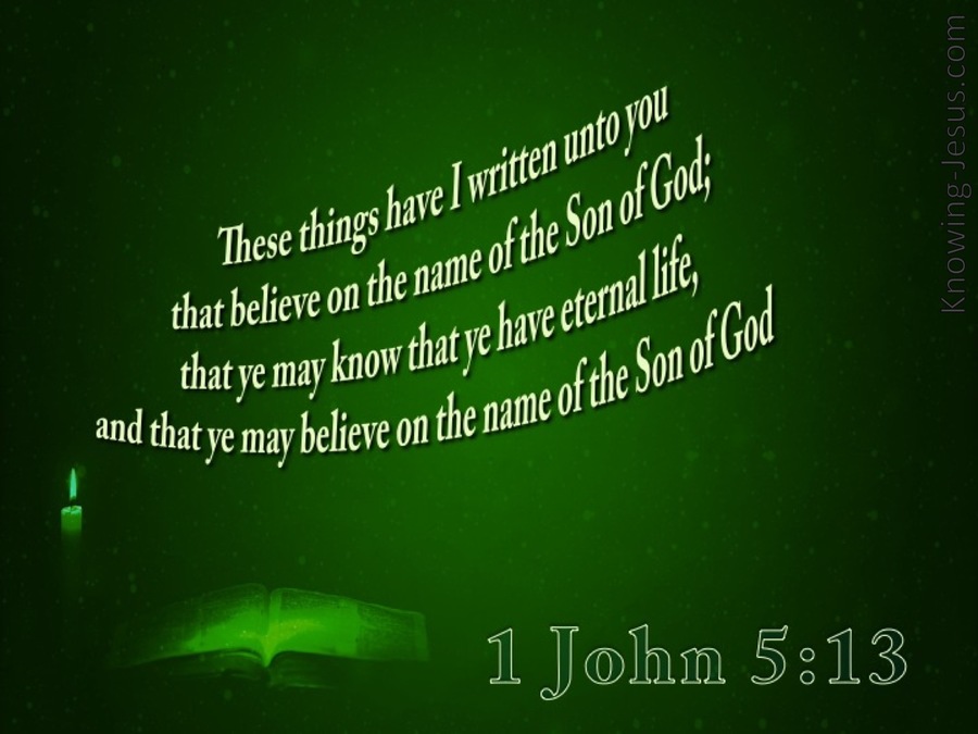 1 John 5:13 This Is Written That You Believe (black)